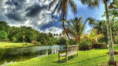 Bench under the palms wallpaper