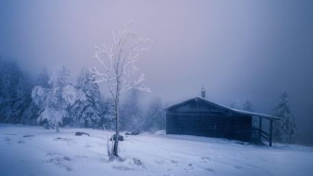 Winter Serenity in a Snowy Landscape wallpaper