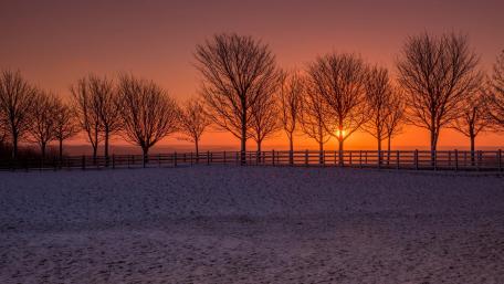 Winter Sunset Over Snowy Horizon wallpaper