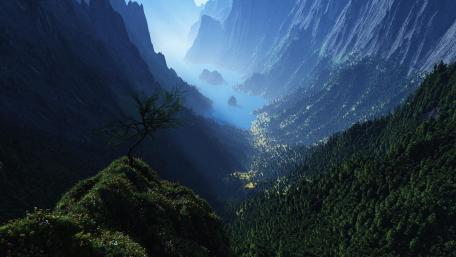 Deep valley with a lone tree wallpaper