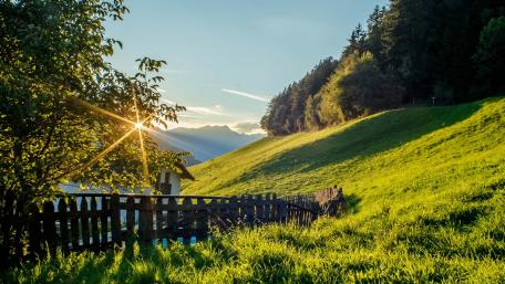 Serene Morning in a Countryside Meadow wallpaper