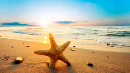 Standing Star wallpaper