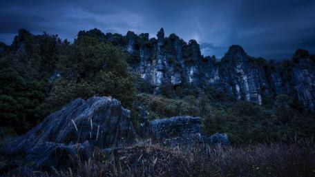 Piopio, New Zealand wallpaper