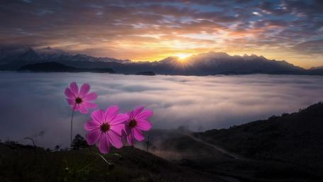 牛背山望贡嘎日出 (Looking  back from Niubei Mountain to Mount Gongga at sunrise) wallpaper
