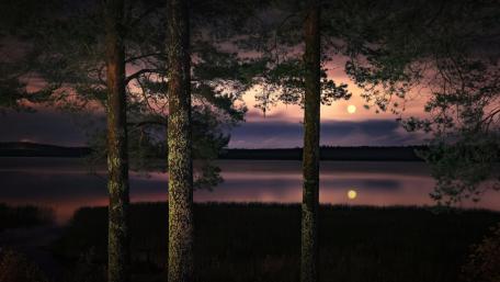 月上松林 (The moon in the pine forest) wallpaper