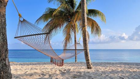 Hammock under the palms wallpaper