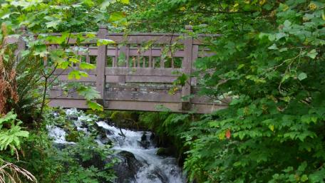 Bridge Over Laughing Water wallpaper