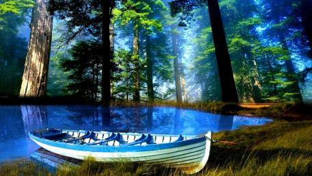 Tranquil Boat on a Forest Lake wallpaper