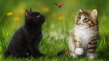 Kittens Gazing at a Butterfly wallpaper