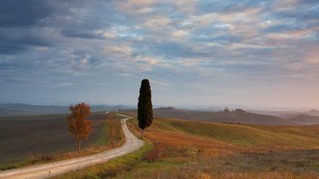 Serene Morning on a Highland Roadway wallpaper