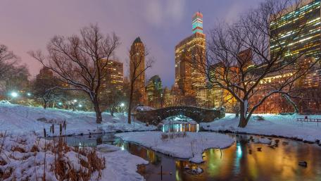 Central Park in winter wallpaper