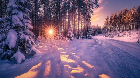 Purple winter scene wallpaper