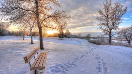 Snowy park at dawn wallpaper