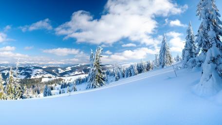 Winter Wonderland with Snowy Slopes and Fir Trees wallpaper