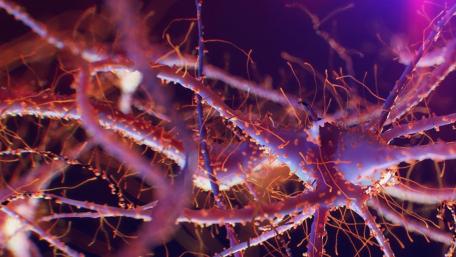 Neuronal Network in Vivid Detail wallpaper