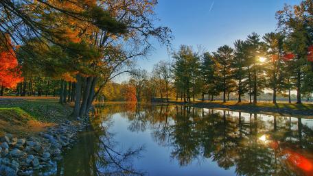 Fall trees in the lakeside wallpaper