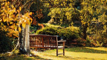 Bench in the garden wallpaper