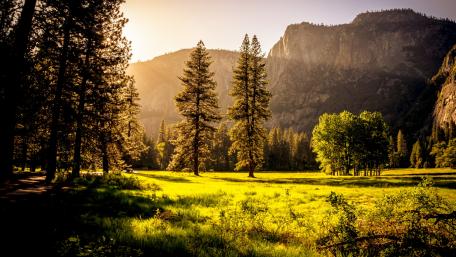 Yosemite National Park wallpaper