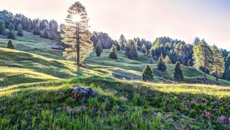 Mountainside near Langkofel (Dolomites, Italy) wallpaper