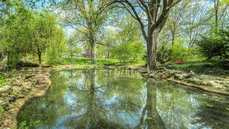 Tranquil Reflections of Nature's Beauty wallpaper