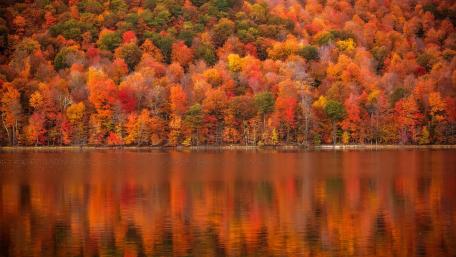 Autumn Reflections in a Colorful Landscape wallpaper
