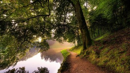 Path along the backwater wallpaper