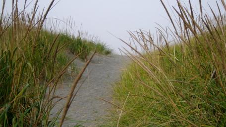 Path Less Traveled wallpaper