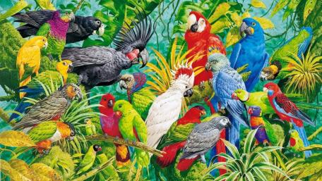 Parrots in Tropical Paradise wallpaper