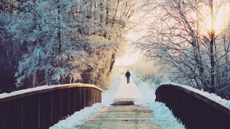 Winter Stroll on a Frosty Footbridge wallpaper
