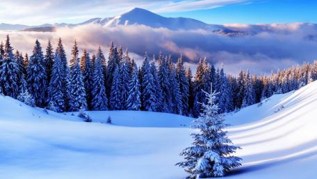 Serene Winter Wonderland Landscape wallpaper