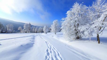Winter Wonderland in Serene Snowy Landscape wallpaper