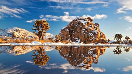 Joshua Tree National Park at winter wallpaper