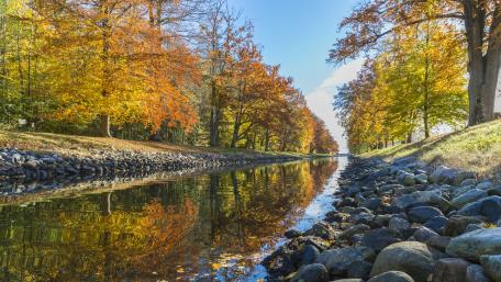 Beautiful fall reflection wallpaper