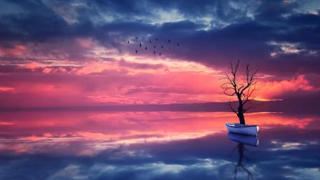 Serene Sunset with a Lonely Tree and Boat wallpaper