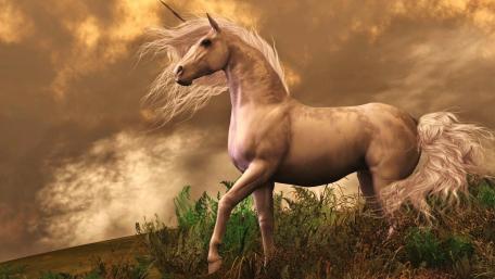White Unicorn wallpaper