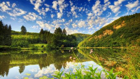 Summer lake landscape wallpaper