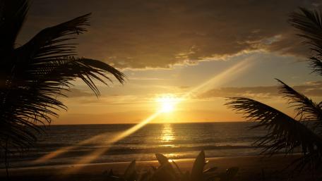 Sunrise wallpaper