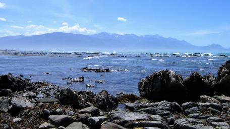 Kaikoura wallpaper