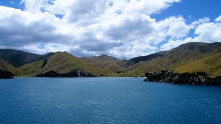 Picton (New Zealand) wallpaper