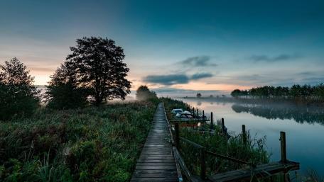 Serene Dawn Over Tranquil Wetlands wallpaper
