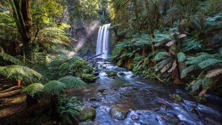 Mystical Forest Waterfall Serenity wallpaper