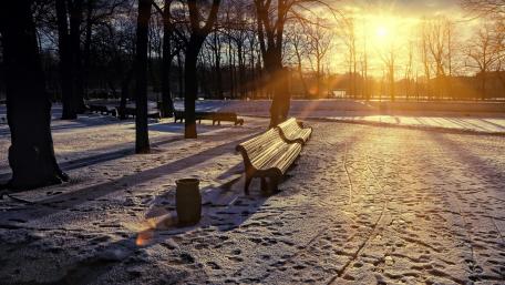 Winter Sunset Serenity in the Park wallpaper