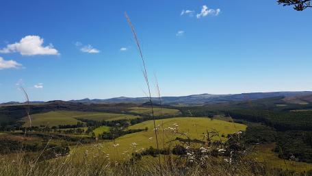 Vast Meadow Under Bright Blue Sky wallpaper