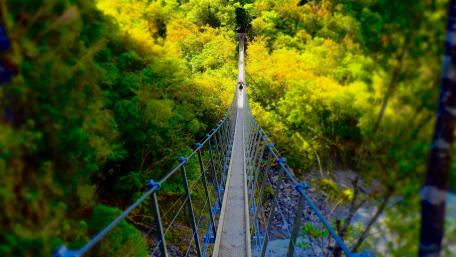 秋千桥 (Swing bridge) wallpaper