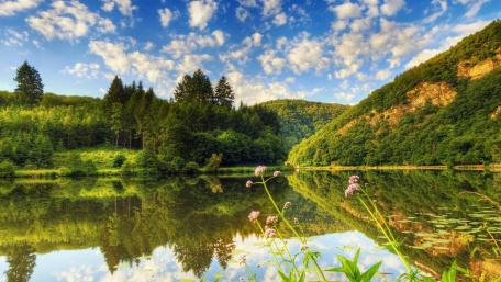 Serene Wilderness Reflections in Nature wallpaper