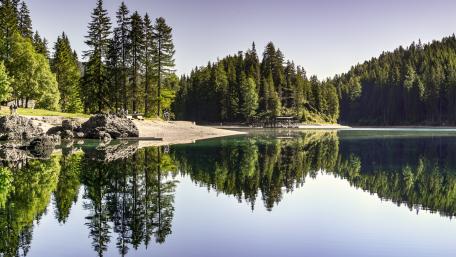 Evergreens lake reflection wallpaper