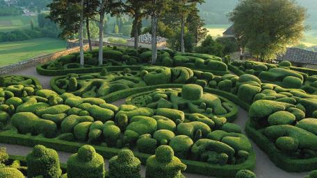 Company Garden in Mussoorie wallpaper