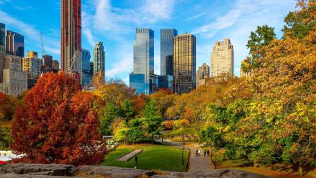 Central Park fall foliage wallpaper