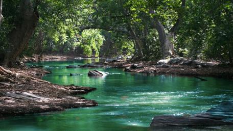 Tranquil Forest Stream Retreat wallpaper