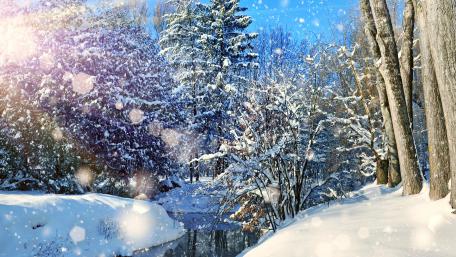 Snowfall wallpaper